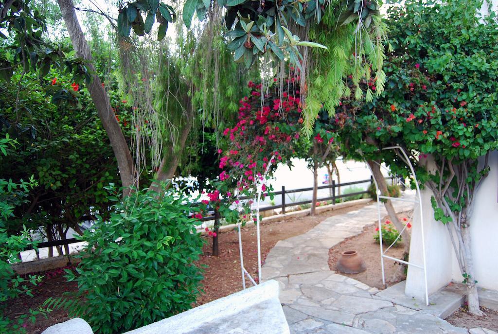 Margarita 110 - Newly Renovated Paphos